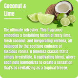 Coconut Lime liquid wax melts fragrance notes and scent description